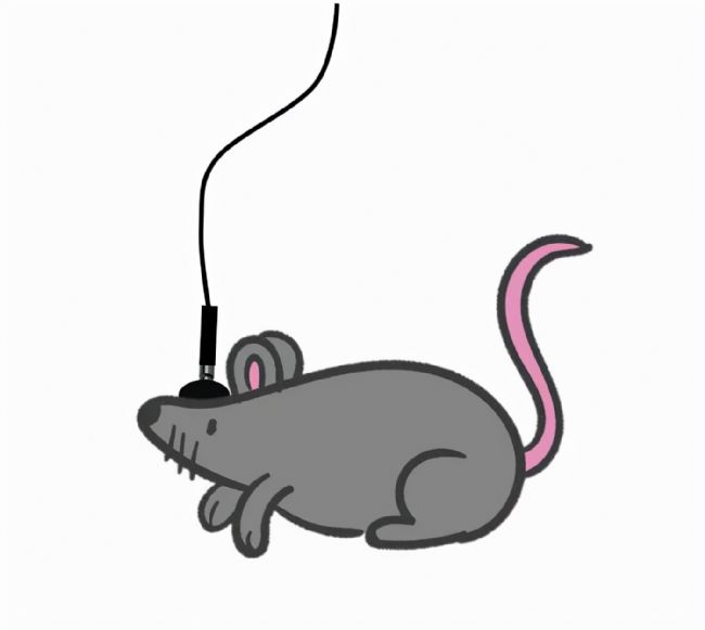 xwӛ䛌ĺĲ_Чʵ̖ݔ