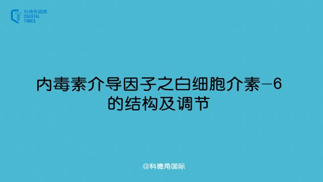 (ni)ؽ錧֮׼-6ĽY(ji)(gu){(dio)(ji)