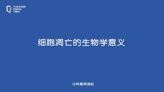 W(xu)x