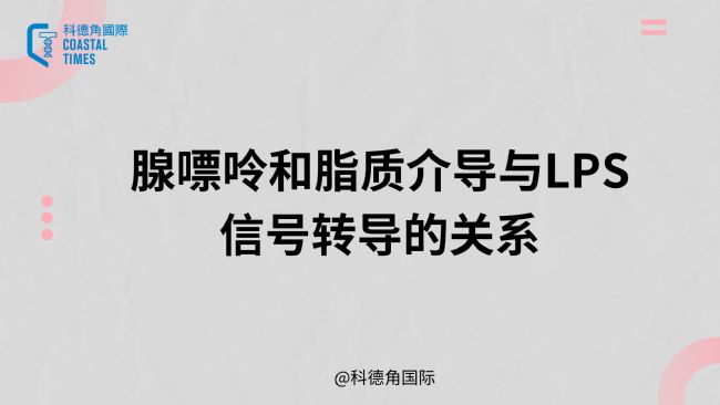 ʺ֬|錧cLPS̖DPϵ