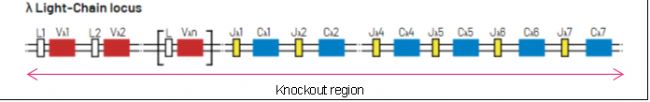 B6-Igl KOСBlͿwоģ
