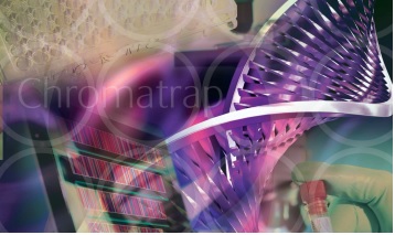 PorvairlЧfhmԭȾɫ|߳N-ChIP